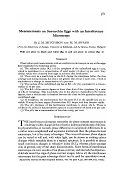Measurements on Sea-urchin Eggs with an Interference Microscope