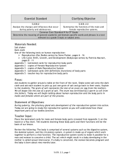 Essential Standard Clarifying Objective Materials Needed: Focus