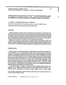 Adsorption Properties of Ca2+ on N a