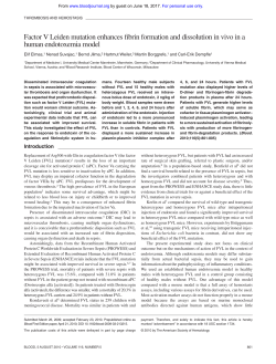 Factor V Leiden mutation enhances fibrin formation