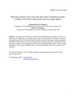 if everything else fails, use binocular disparity