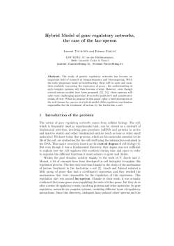 Hybrid Model of gene regulatory networks, the case of the lac