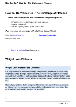 Don`t Give Up - The Challenge of Plateaus