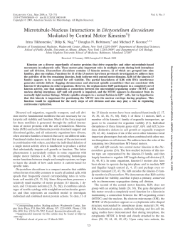 Microtubule-Nucleus Interactions in Dictyostelium discoideum