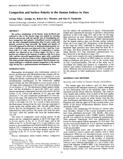 Compaction and Surface Polarity in the Human Embryo In Vitro