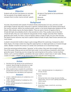 Action - Rackcdn.com