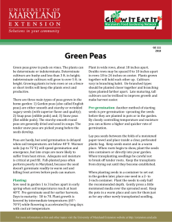 GE 111 Green Peas - University of Maryland Extension