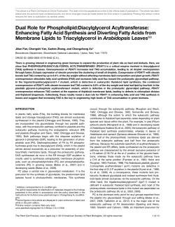 Dual Role for Phospholipid:Diacylglycerol Acyltransferase