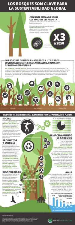 FOREST INFOGRAPHIC Spanish version (Web) FINAL