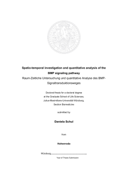 Spatio-temporal investigation and quantitative