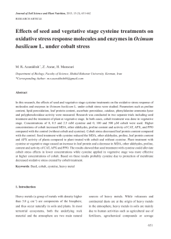 Effects of seed and vegetative stage cysteine treatments on