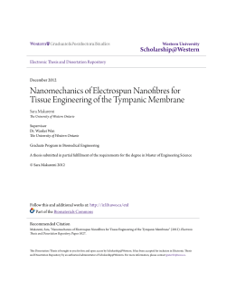 Nanomechanics of Electrospun Nanofibres for Tissue Engineering