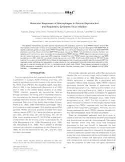 Molecular Responses of Macrophages to Porcine