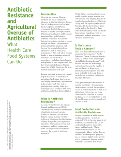 Antibiotic Resistance and the Agricultural Overuse of Antibiotics