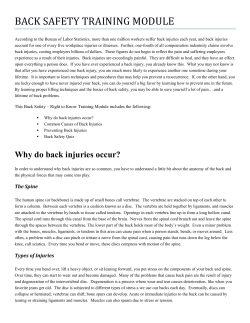 BACK SAFETY TRAINING MODULE