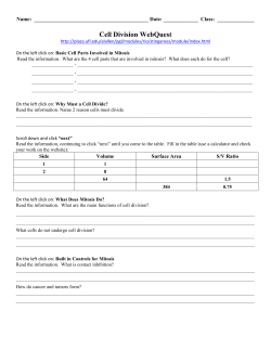 Cell Division WebQuest