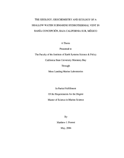 THE GEOLOGY, GEOCHEMISTRY AND ECOLOGY OF A
