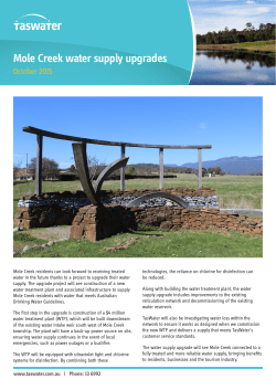 Mole Creek water supply upgrades