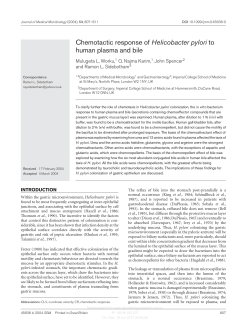 Chemotactic response of Helicobacter pylori to human plasma and