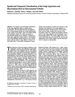 Spatial and Temporal Colocalization of the Golgi Apparatus and