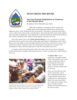 news from the river - New York Sea Grant
