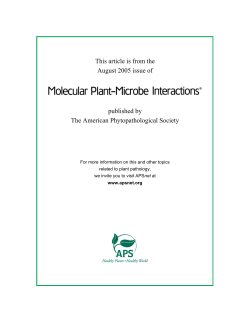 This article is from the August 2005 issue of