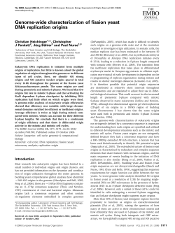 Genomewide characterization of fission yeast DNA replication origins