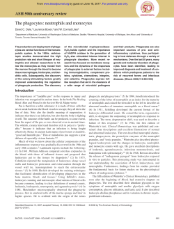 The phagocytes: neutrophils and monocytes