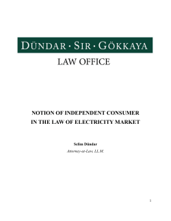 notion of independent consumer in the law of electricity market