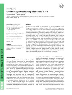 Growth of saprotrophic fungi and bacteria in soil