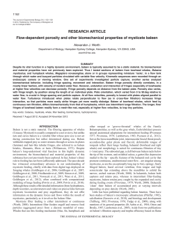 Flow-dependent porosity and other biomechanical properties of
