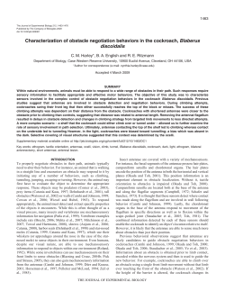 Characterization of obstacle negotiation behaviors in the cockroach