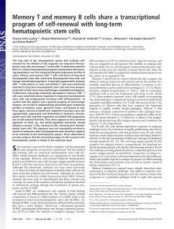 Memory T and memory B cells share a transcriptional program of
