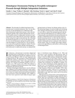 Homologous Chromosome Pairing in Drosophila melanogaster