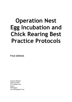 Operation Nest Egg incubation and chick rearing best practice