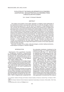 EVOLUTION OF THE RADULAR APPARATUS IN CONOIDEA