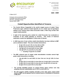 Cobalt Opportunities Identified at Yeneena