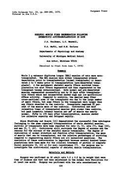 Life Sciences Vol. 19, pp. 289-296, 1976. Printed in the