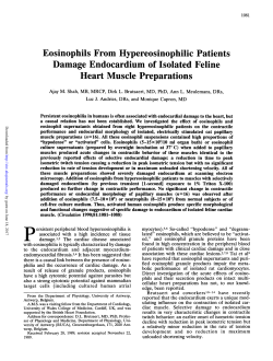 Damage Endocardium of Isolated Feline Heart Muscle Preparations
