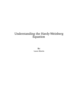 Understanding the Hardy