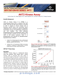 AKT2 Kinase Assay