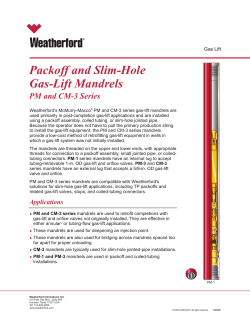 Packoff and Slim-Hole Gas-Lift Mandrels