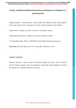 Energy and lipid metabolism during direct and diapause