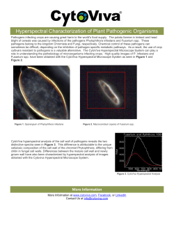 Hyperspectral Characterization of Plant Pathogenic Organisms
