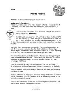 Muscle Fatigue - Science