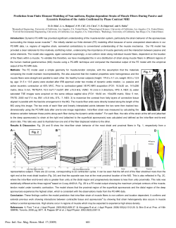 Prediction from Finite Element Modeling of Non