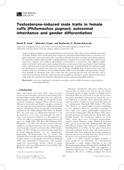Testosterone-induced male traits in female ruffs (Philomachus