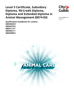 Level 3 Certificate, Subsidiary Diploma, 90-Credit