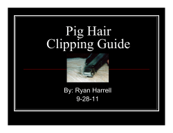 Pig Hair Clipping Guide
