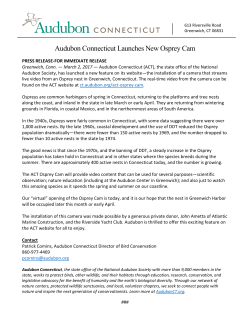 Press Release - Audubon Connecticut Launches New Osprey Cam